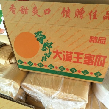 西州蜜瓜3斤以上椭圆形