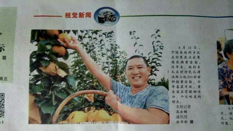 黄金梨550~600g纸箱