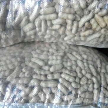 吉林白城洮南四粒红花生果，手选货，通货果，