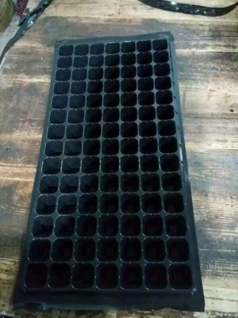 穴盘