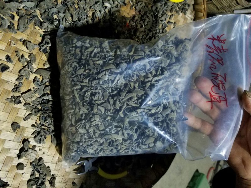 木耳一级