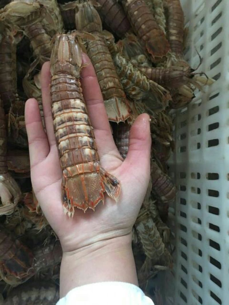 干虾