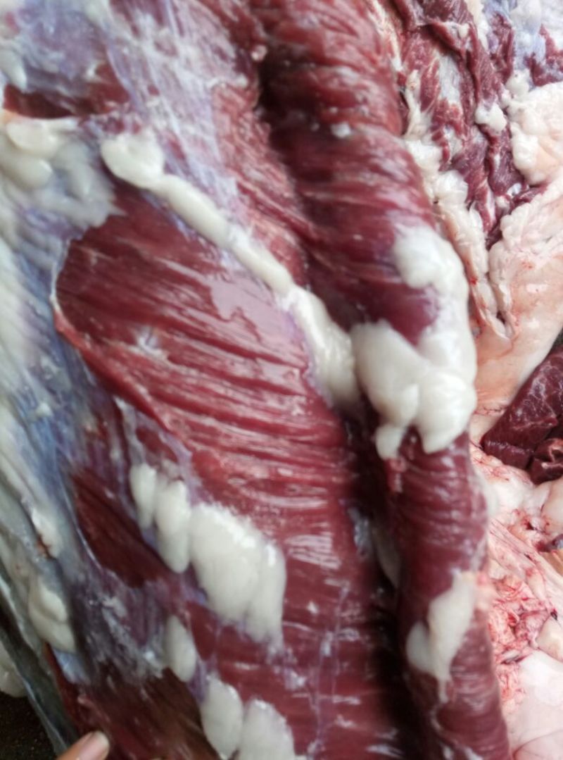 驴肉鲜货