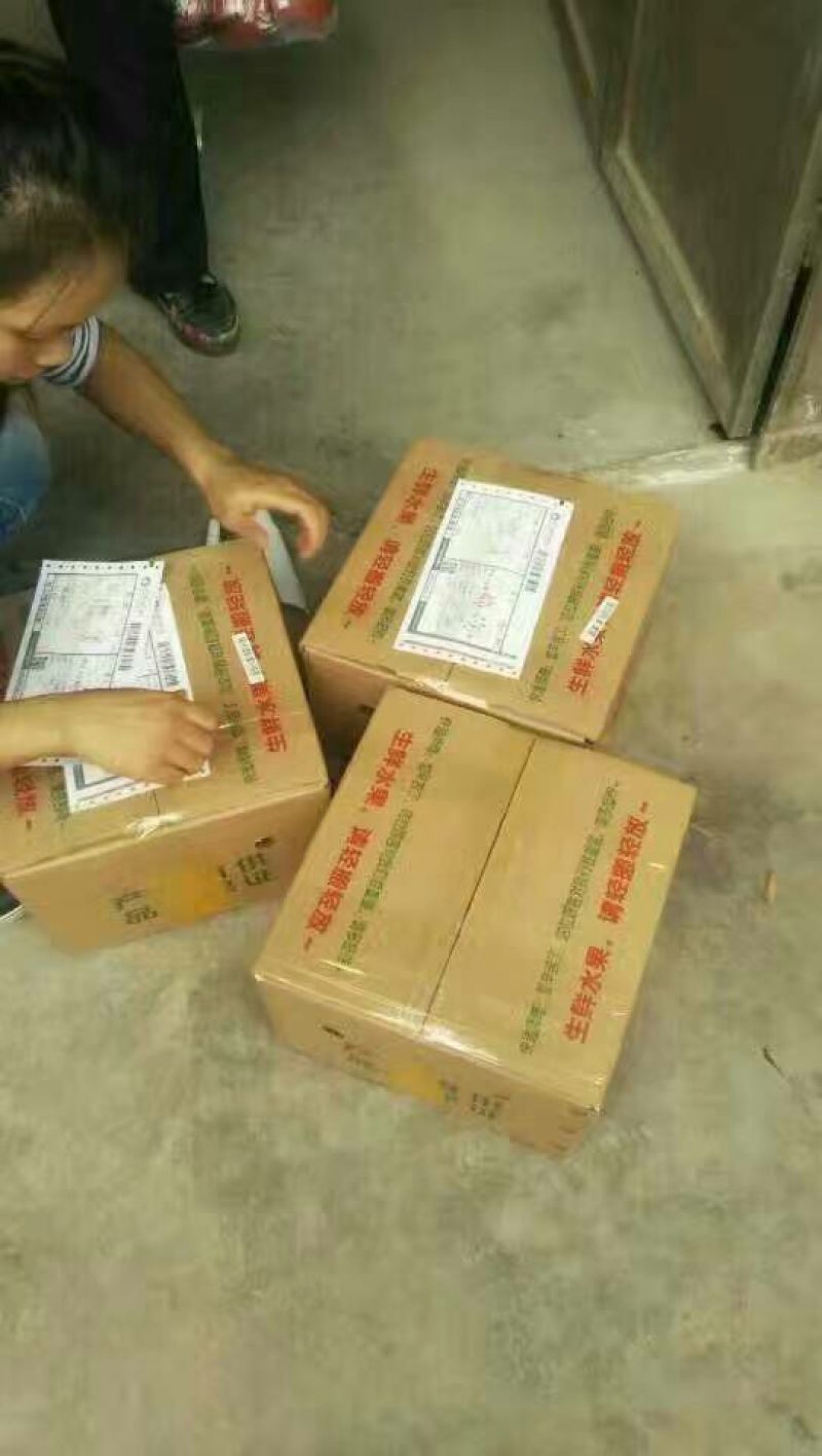 梨150~200g纸箱
