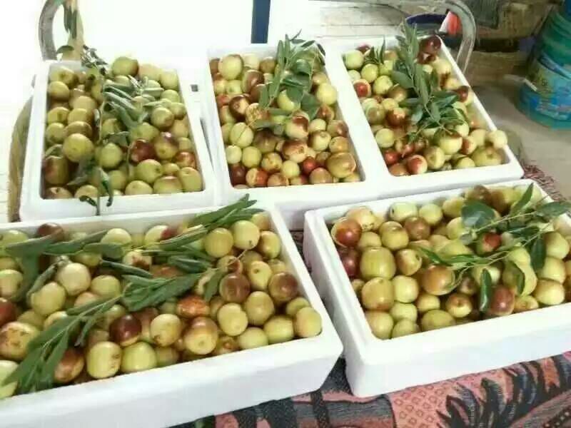 冬枣大荔冬枣规格齐全现摘现发产地直供