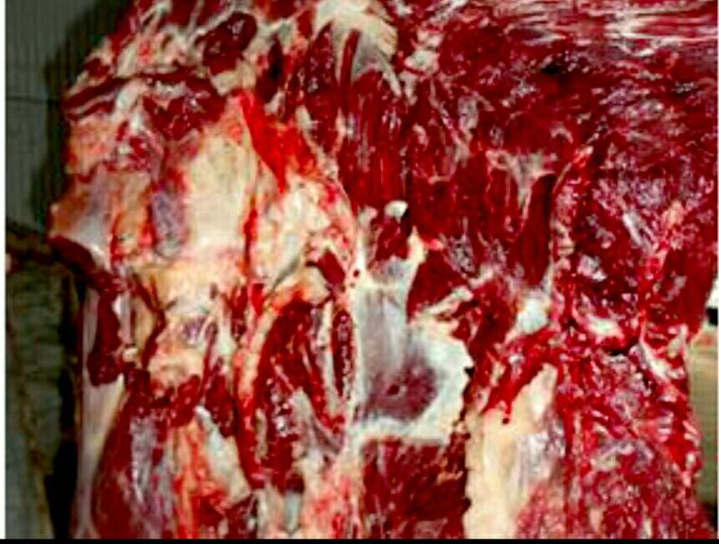 驴肉鲜货