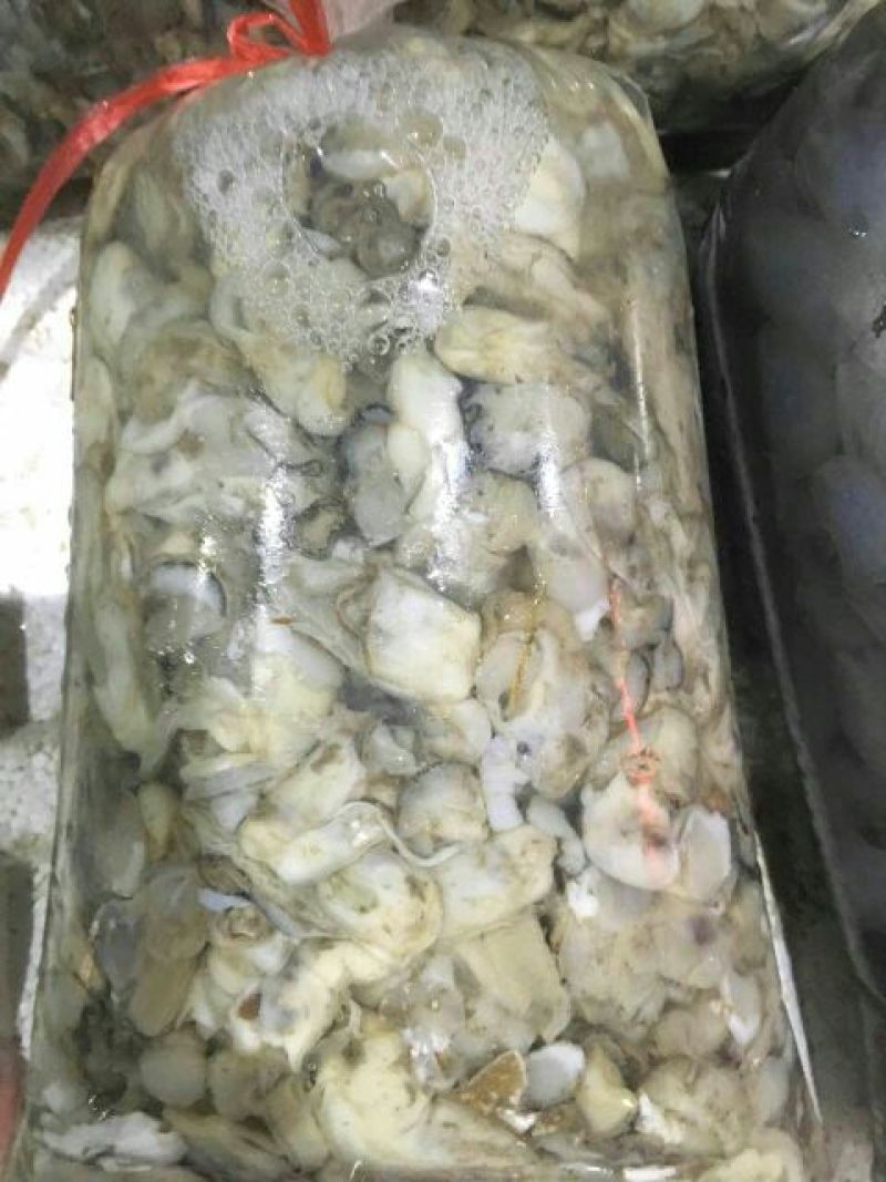 海蛎