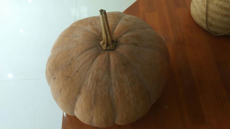老南瓜4~5斤以上长条形
