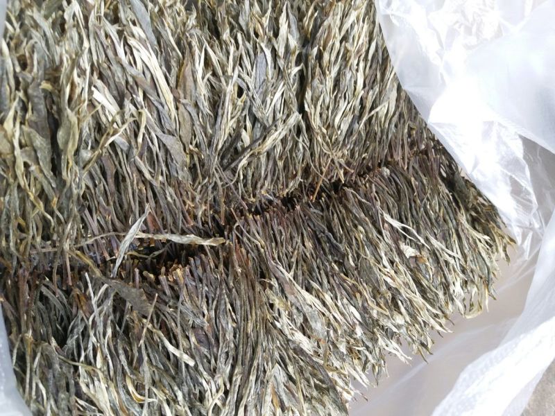 普洱茶散茶