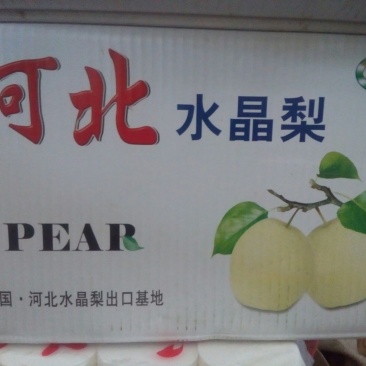 皇冠梨