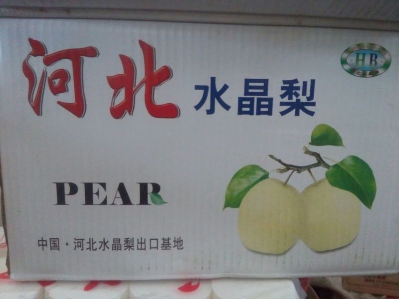 皇冠梨