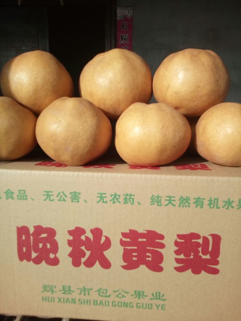沙澧特晚秋黄梨350~400g纸箱