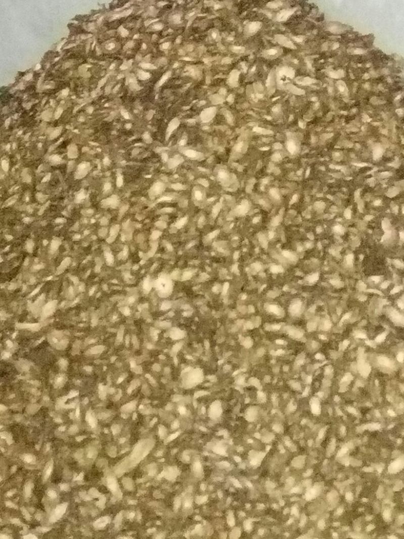 牛蒡净统