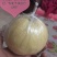 酥梨550~600g纸袋
