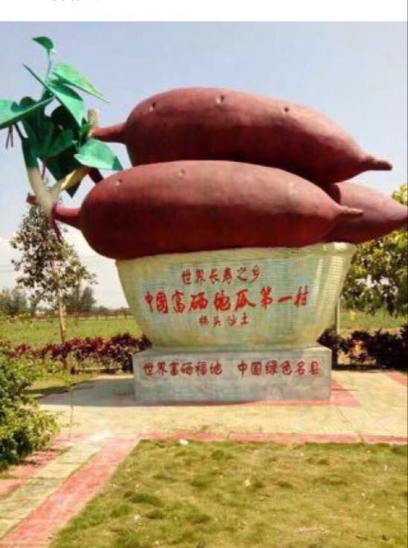 海南澄迈桥头地瓜批发一件代发板栗红薯产地多省包邮