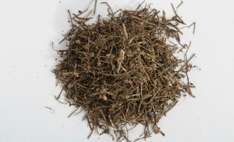 白花蛇舌草