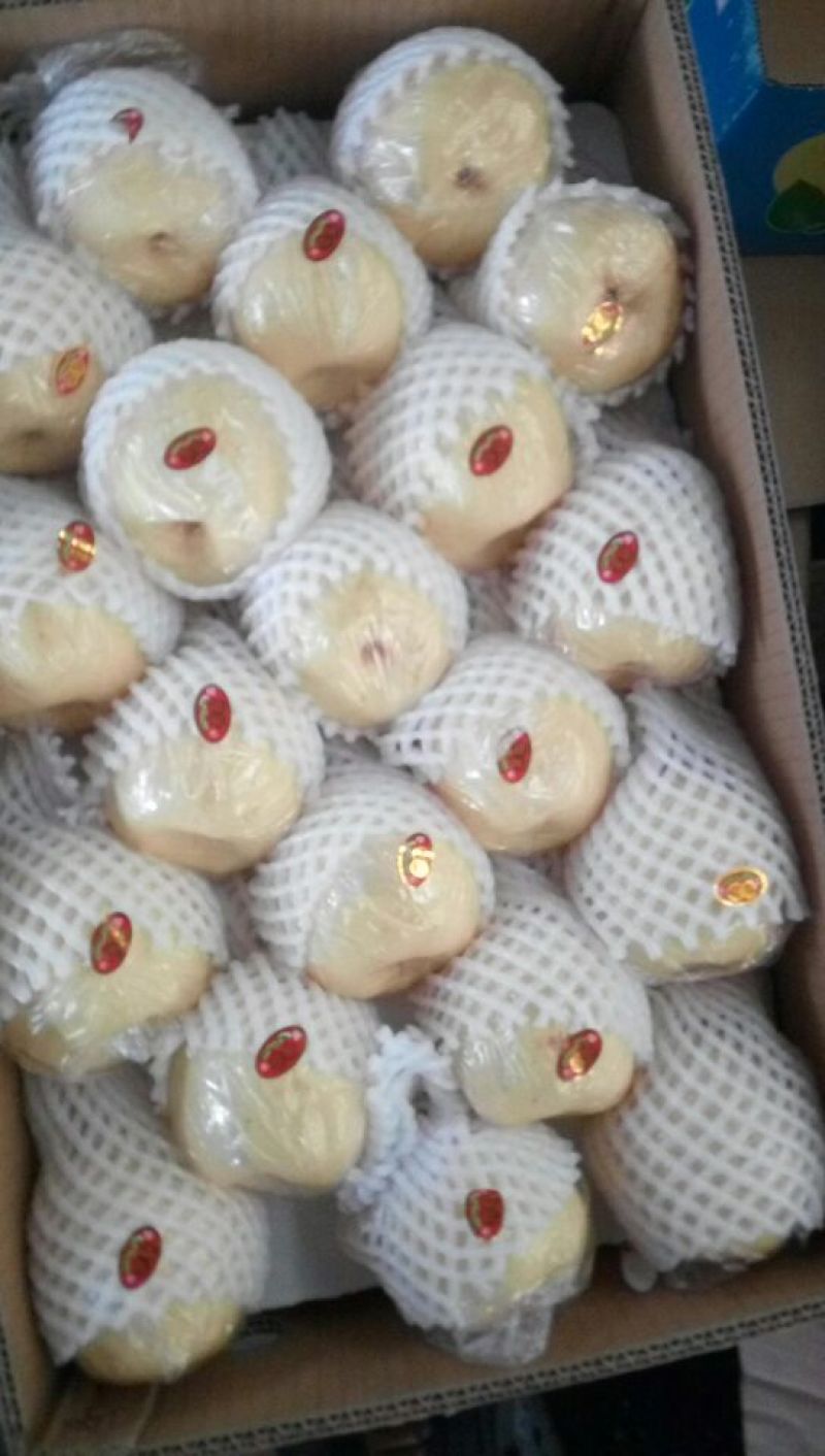 贡梨250~300g纸加膜