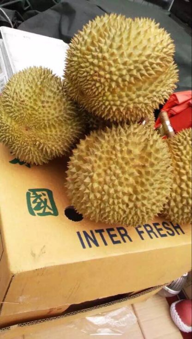 榴莲