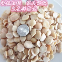苦杏仁