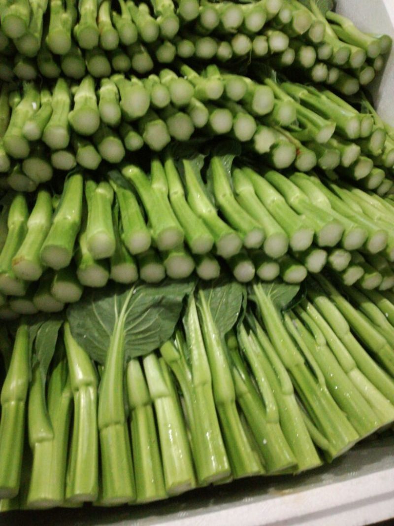 菜苔