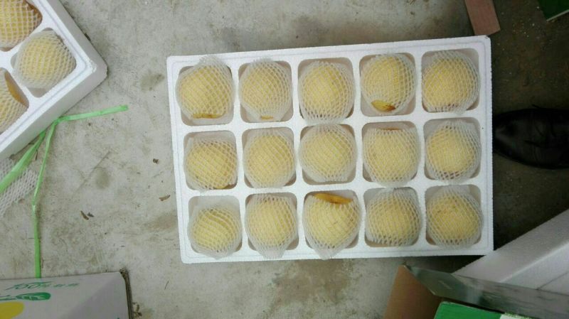 砀山梨300~350g纸箱