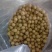 青皮核桃30mm以上去皮