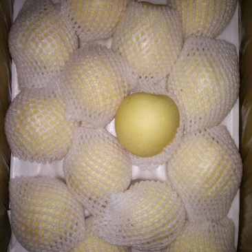 皇冠梨300~350g纸箱