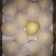 皇冠梨300~350g纸箱