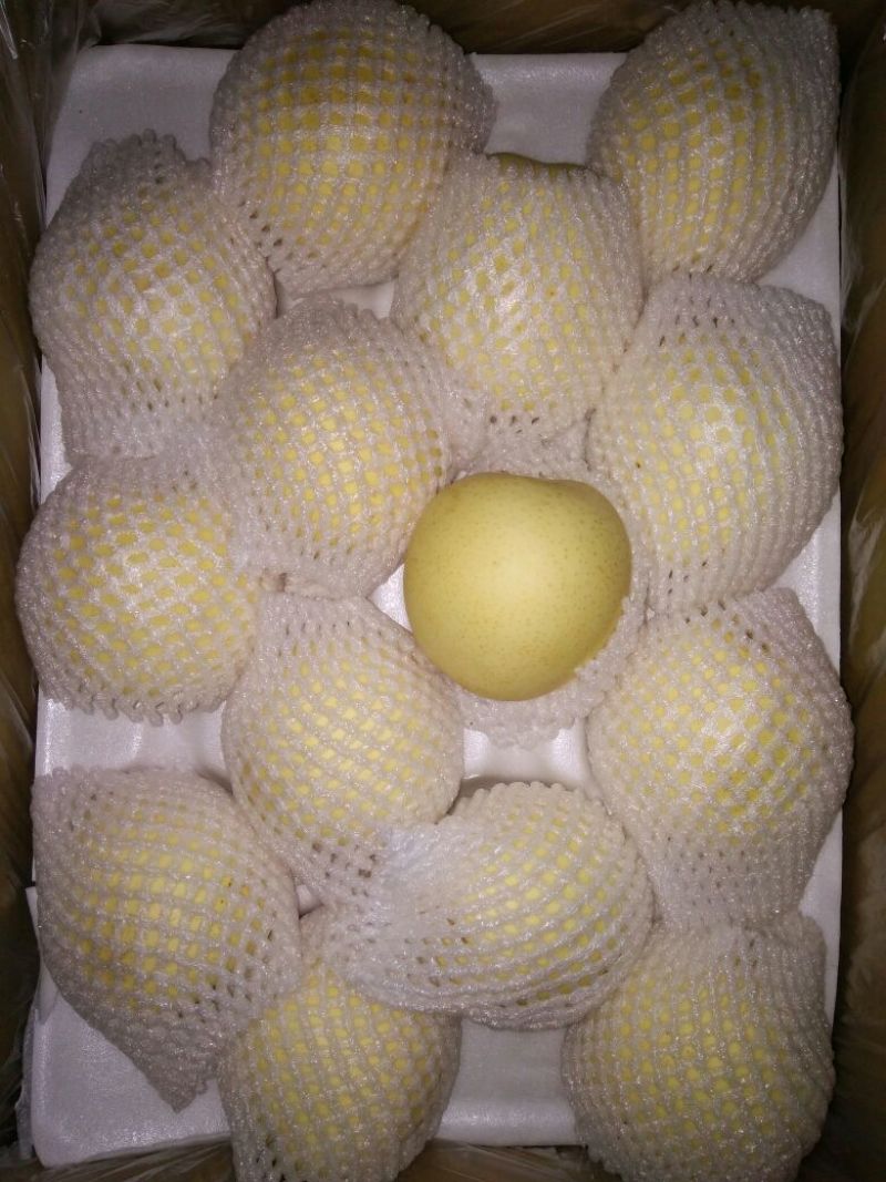 皇冠梨300~350g纸箱