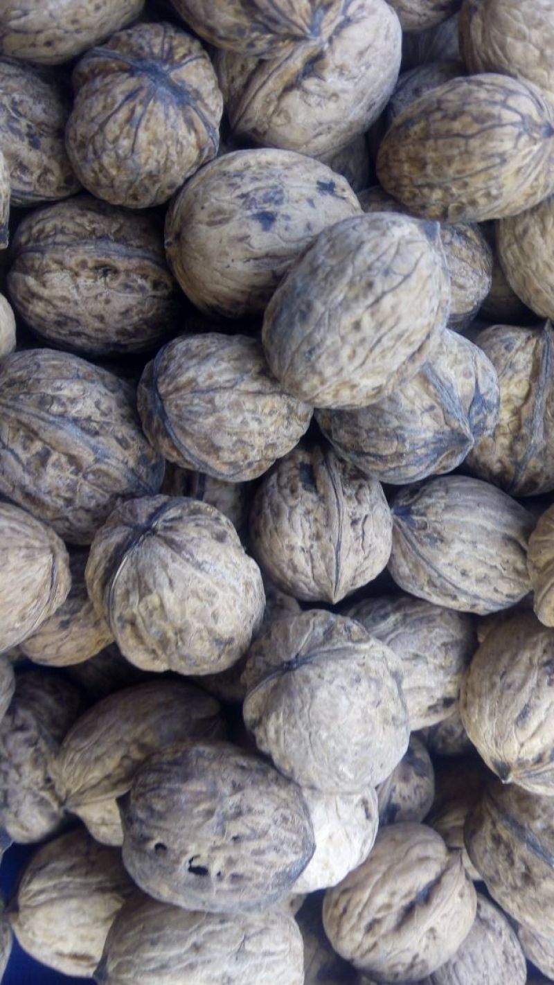 薄皮核桃30mm以上去皮干