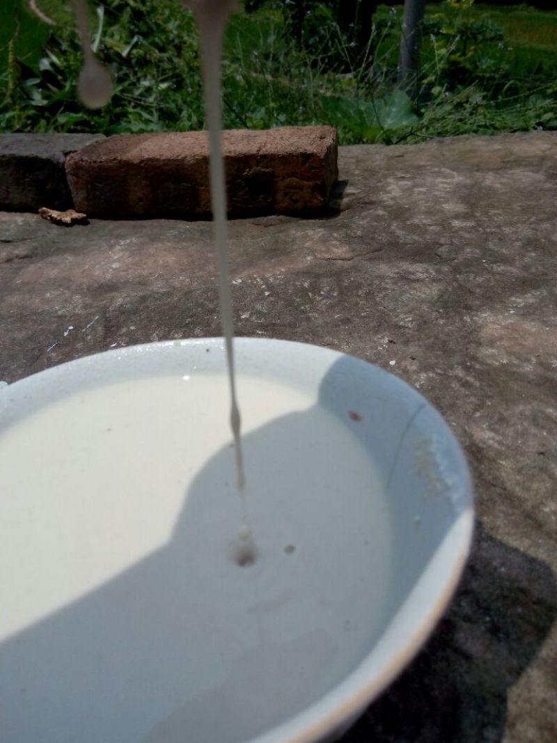 红薯淀粉