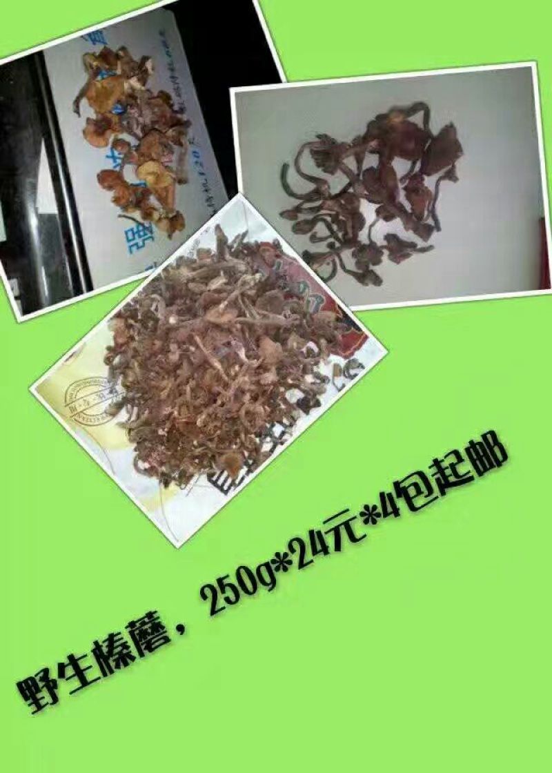 黑山秋耳一级