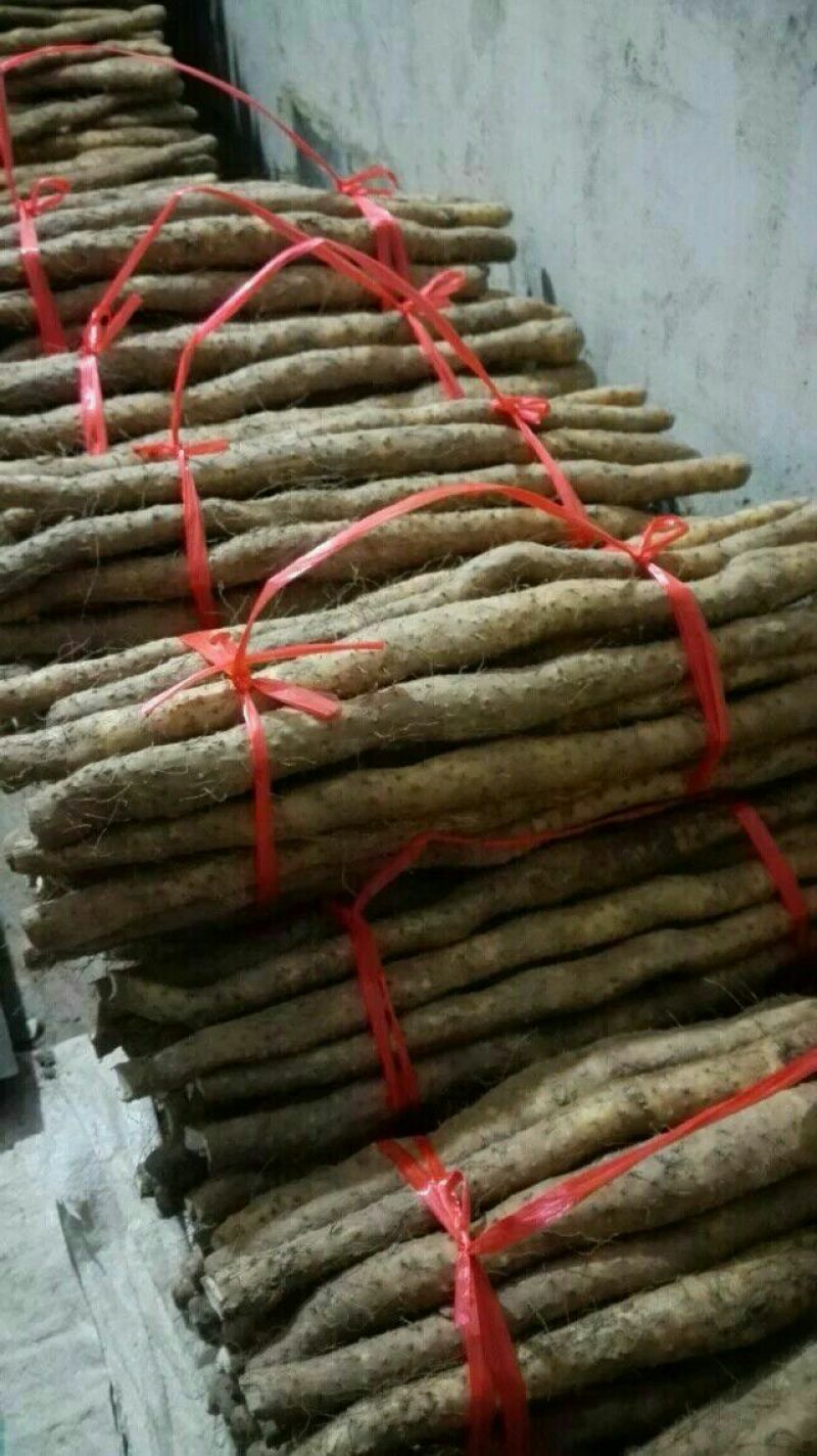 垆土山药3~4厘米特级