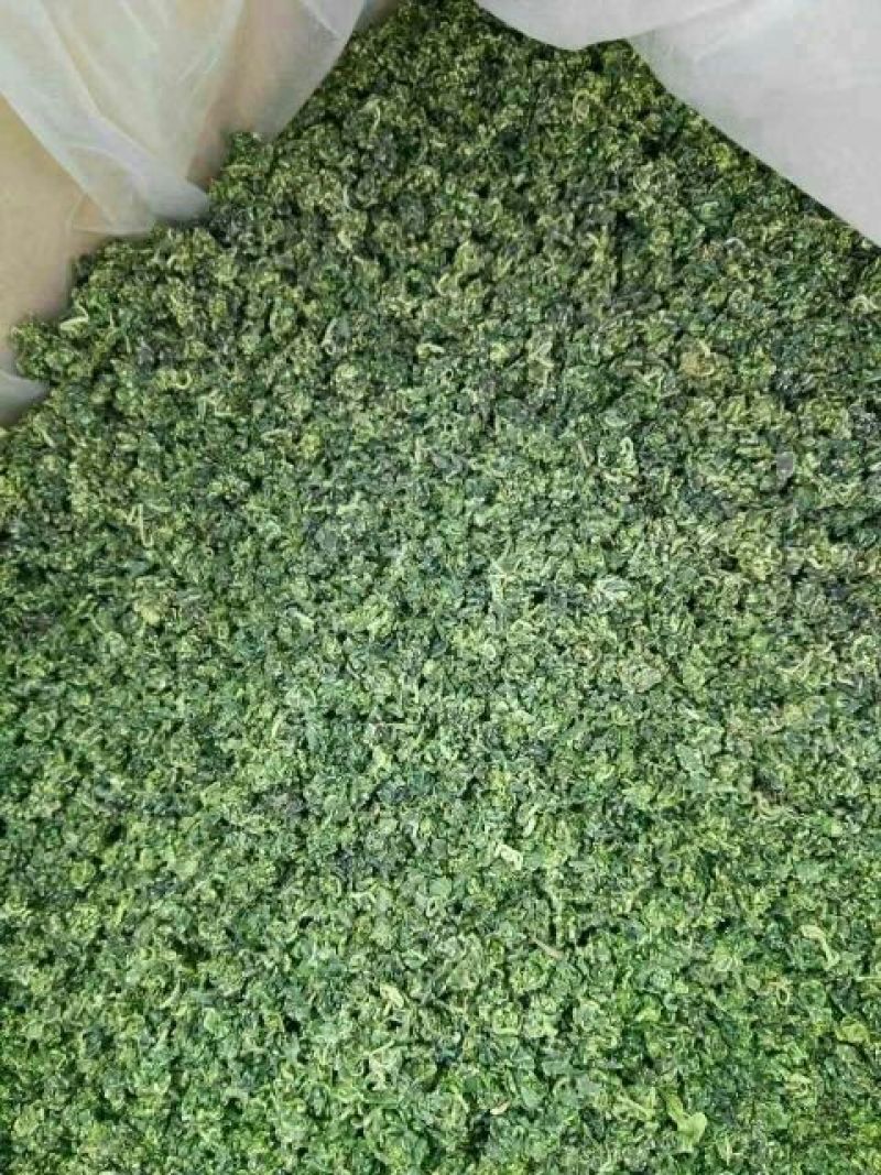 枸杞叶茶特级