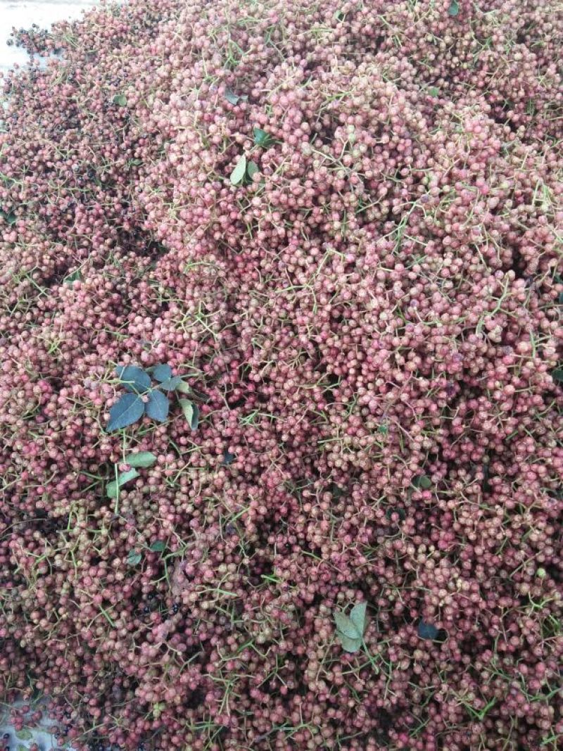 大红袍花椒特级鲜