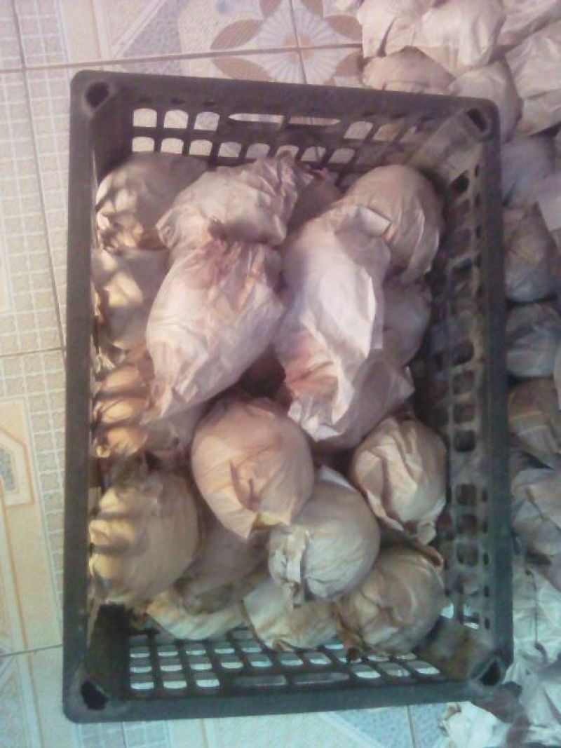 酥梨550~600g筐装