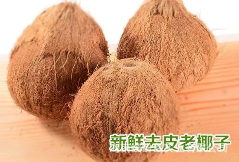 椰子2.5~3斤