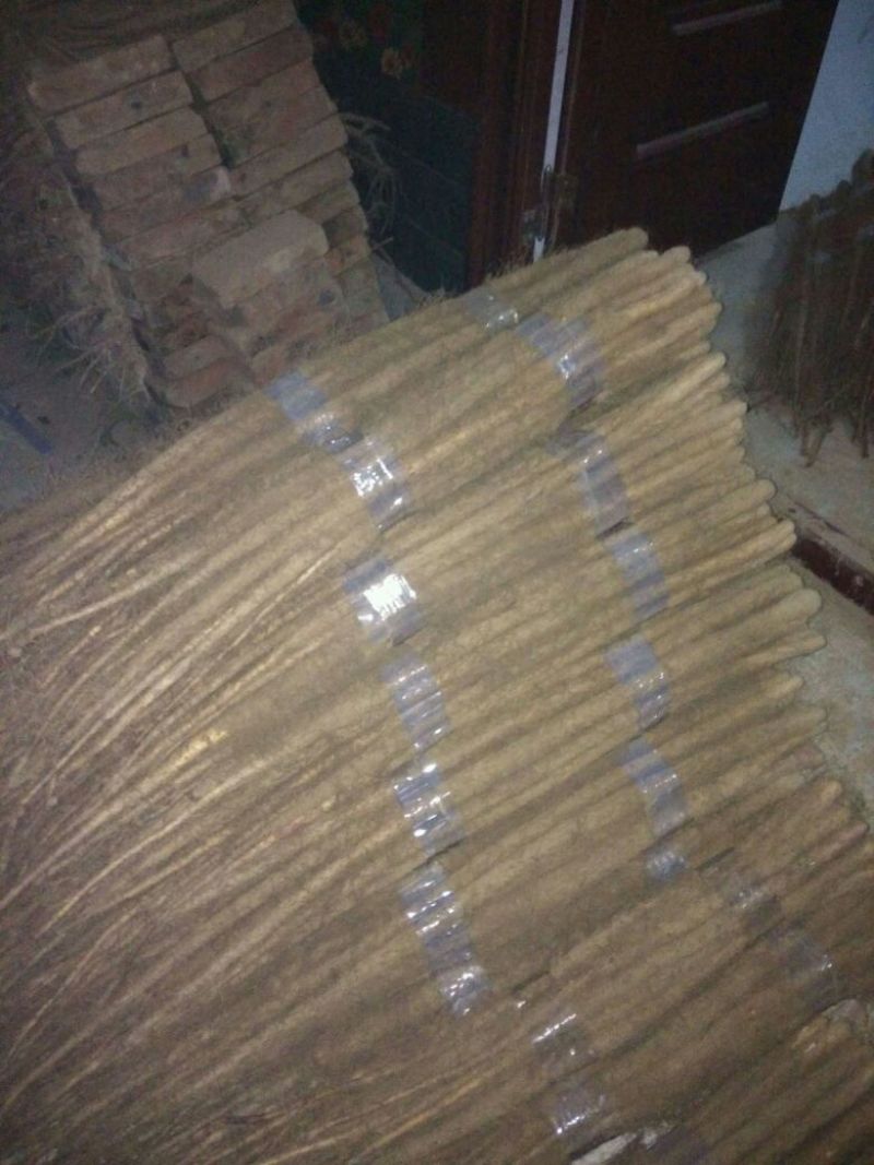 铁棍山药2~3厘米50~70厘米一级