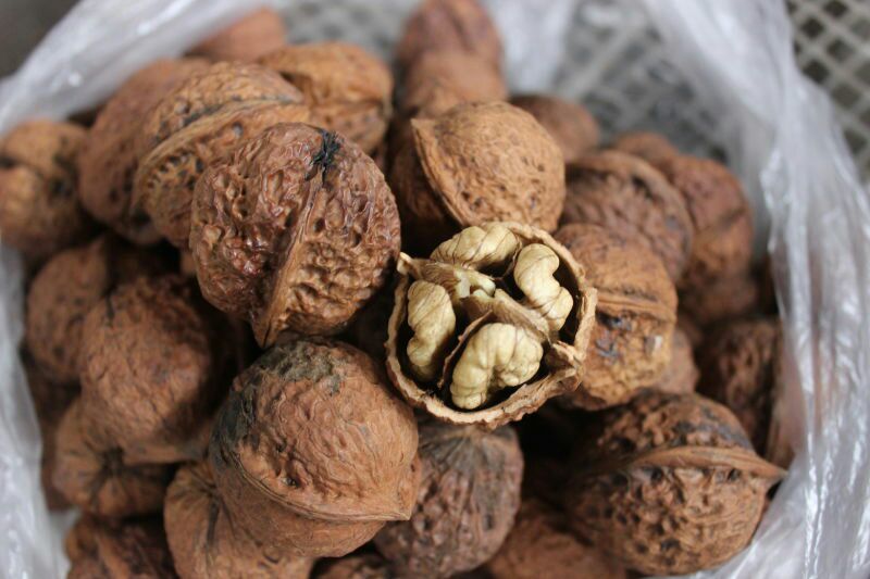 桐子果去皮干