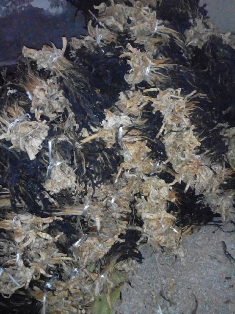 脱水白菜