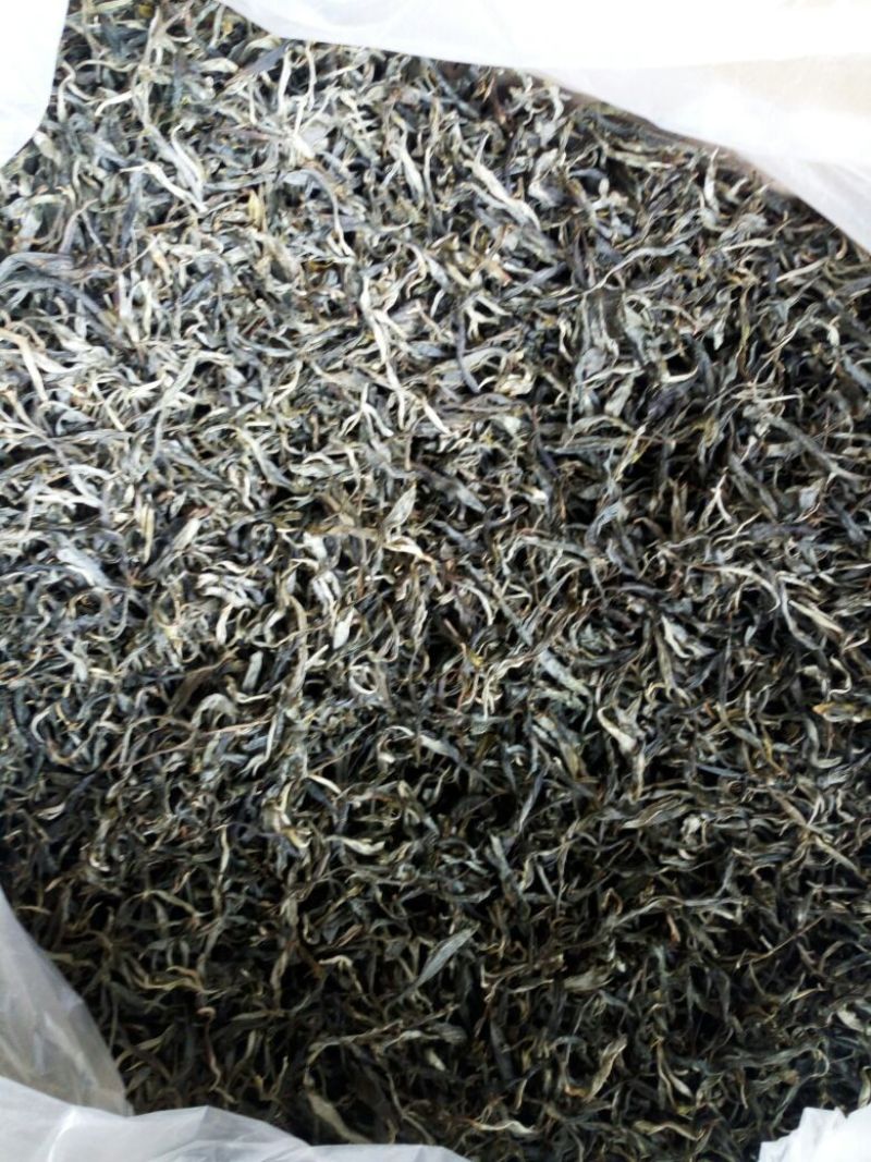 百年大树茶特级