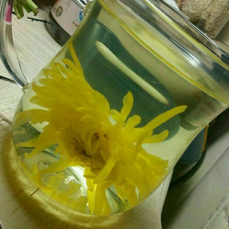 药用菊花袋装