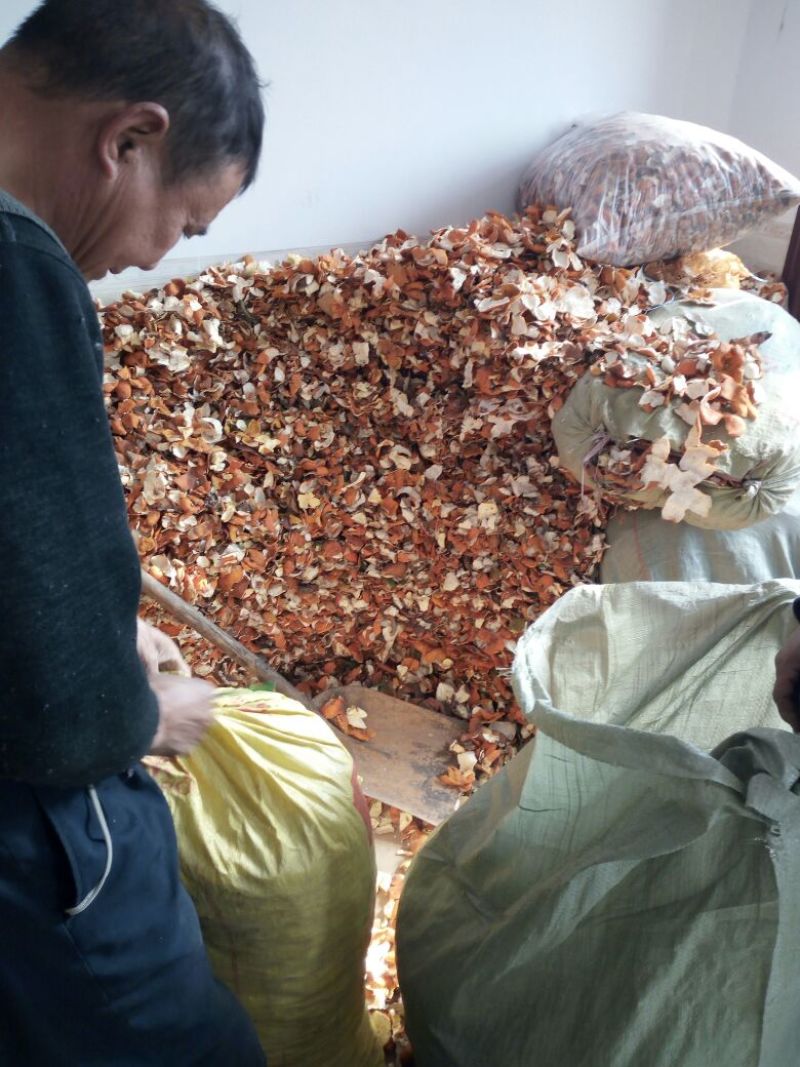陈皮杂个