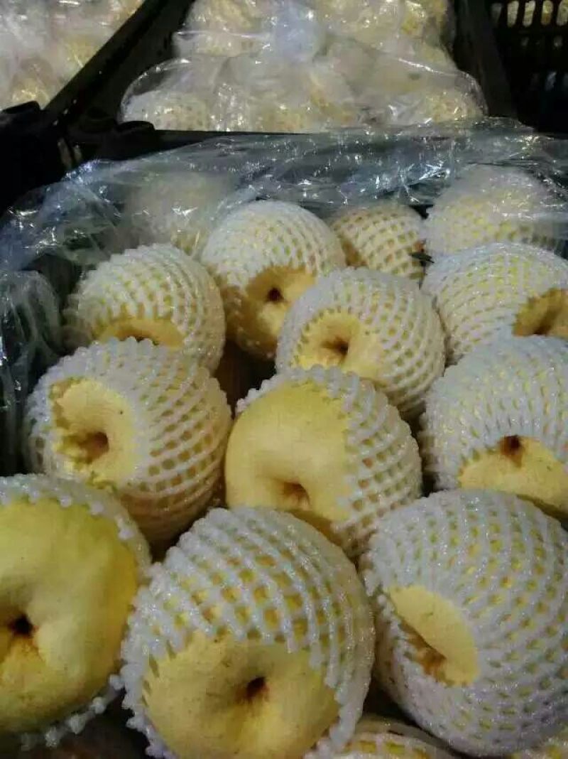 酥梨200~250g纸袋