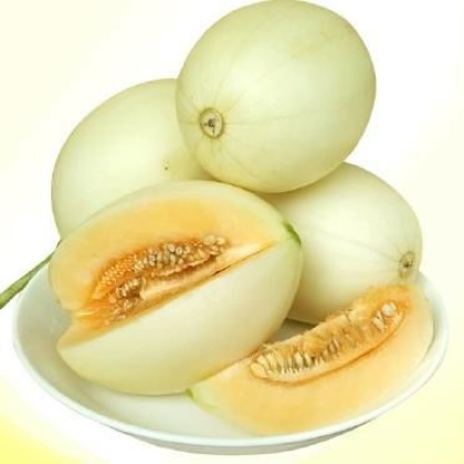 东方蜜1号甜瓜山东聊城市莘县_批发_供应-一亩