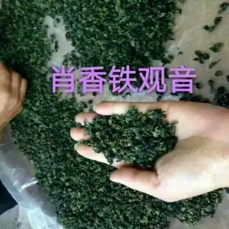 观音茶一级