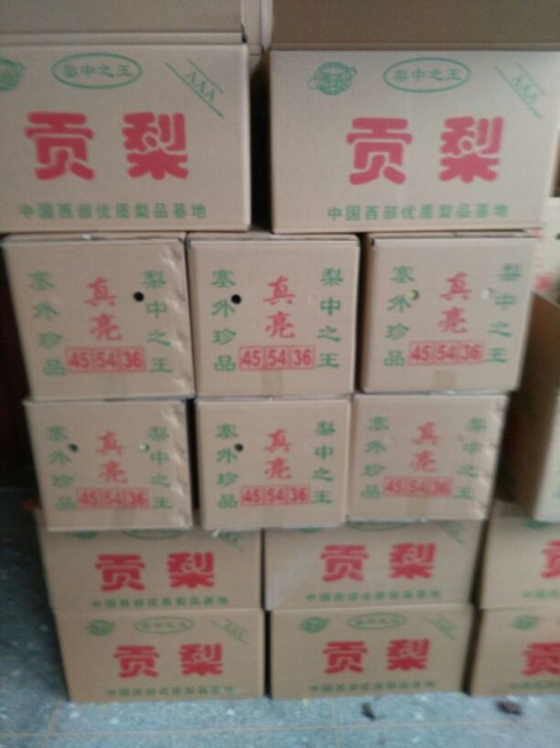 梨光果300~350g