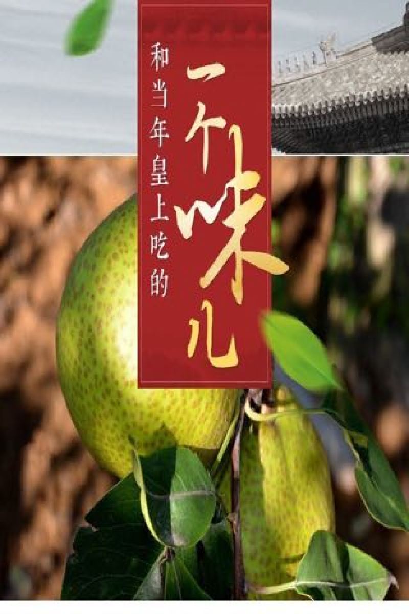 梨