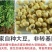 腐竹