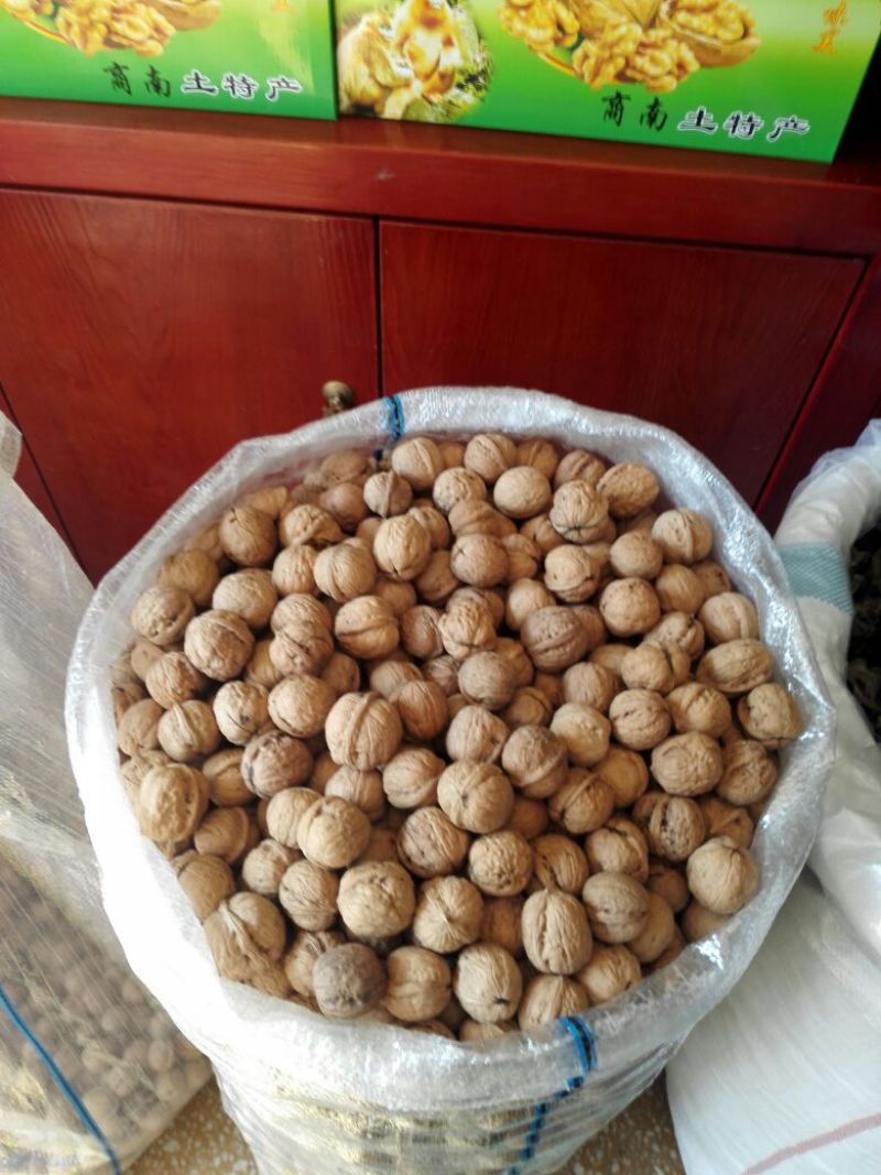 绵核桃30mm以上去皮干